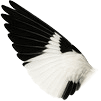 Feathers logo